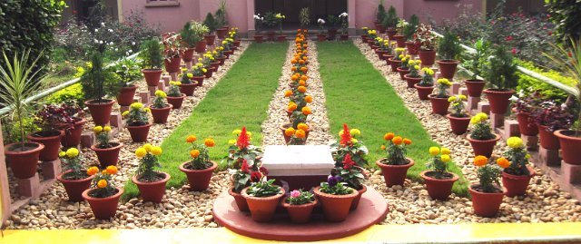 IMG 0075 - Copy